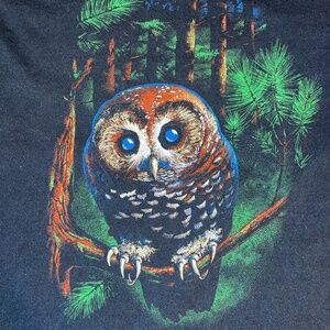 Graphic T-Shirt – Owl in Pine Tree – Faded Black – Men’s Small (No Tag)